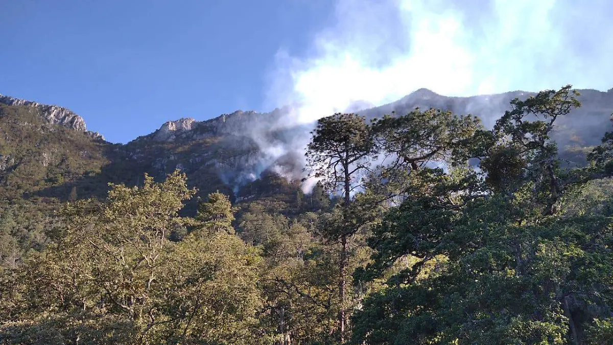 incendios foto conafor 159